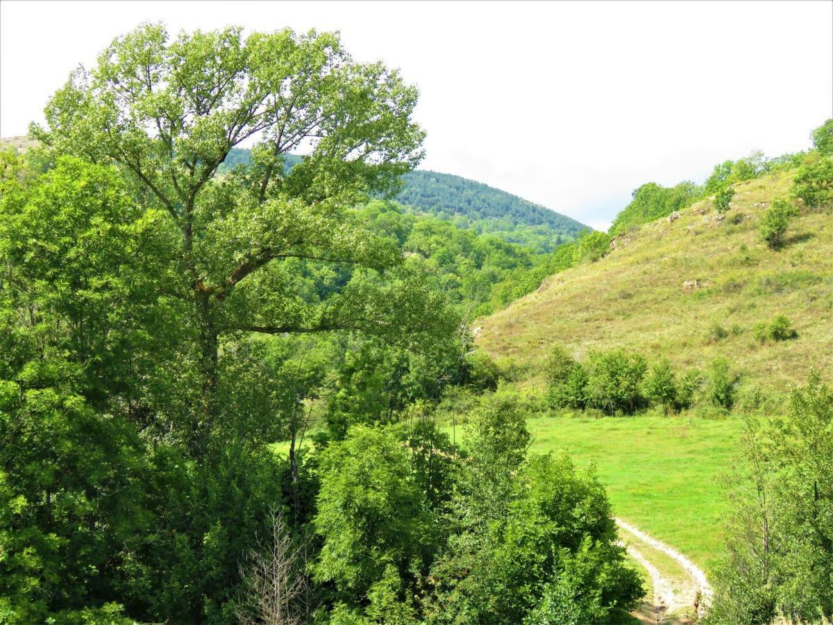 Vaque Villeneuve Des Escaldes Angoustrine Екстер'єр фото